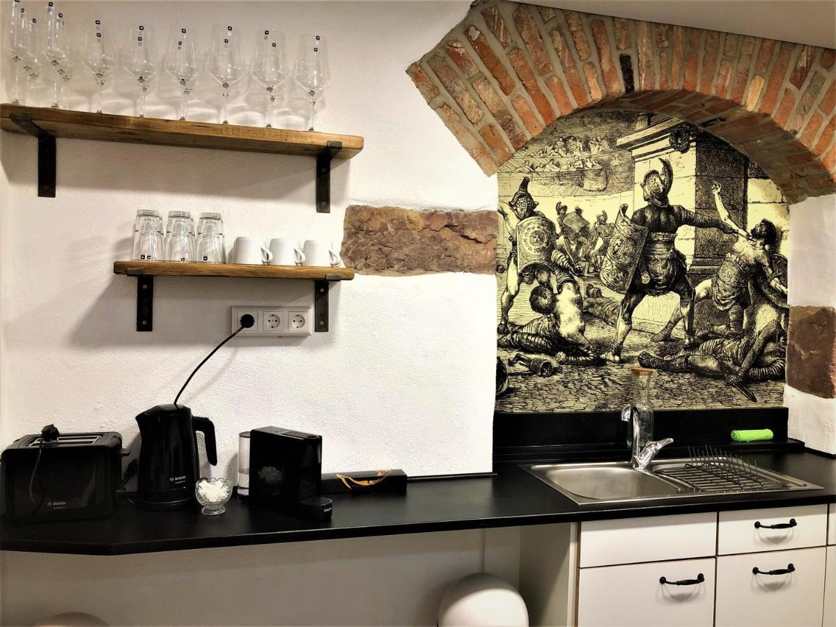 فرايبورغ Luxus Apartment Colloseum In Der Stadt المظهر الخارجي الصورة